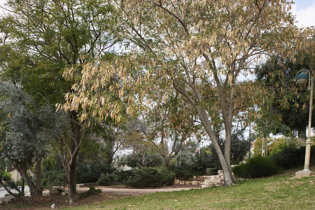 Like Home Gedera Buitenkant foto