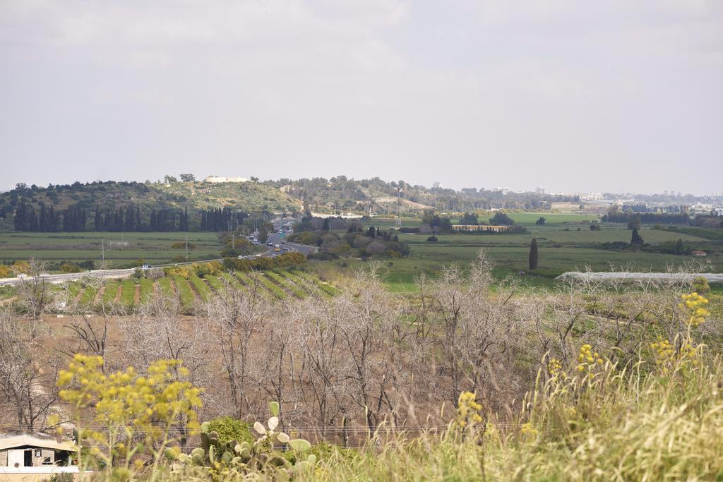 Like Home Gedera Buitenkant foto